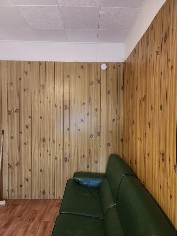 Appartement - 31 m² - 2 pièces