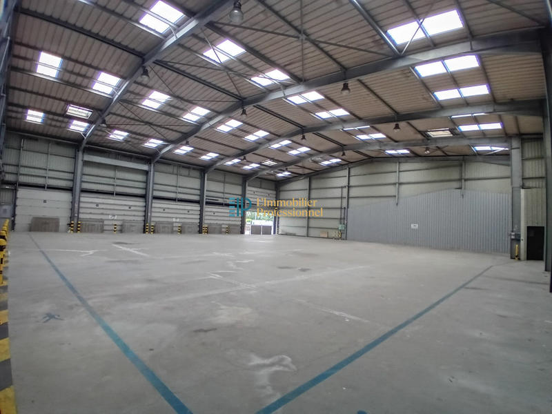 Local d'activités - 1 072 m²