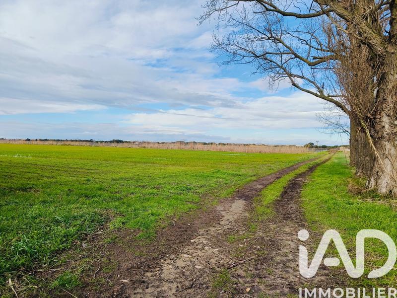 Terrain agricole - 1 140 000 m²