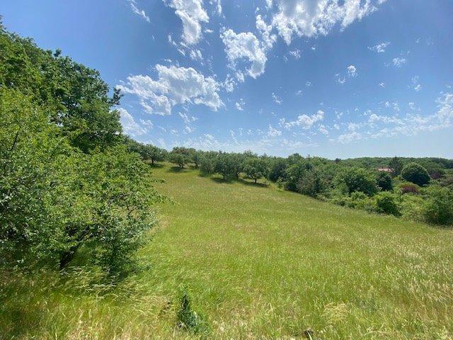 Maison en pierre - 211 m² - 4 pièces