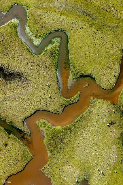 Exposition "Photographismes"