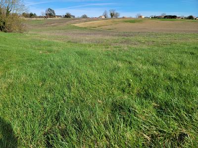 Terrain constructible - 6 640 m²