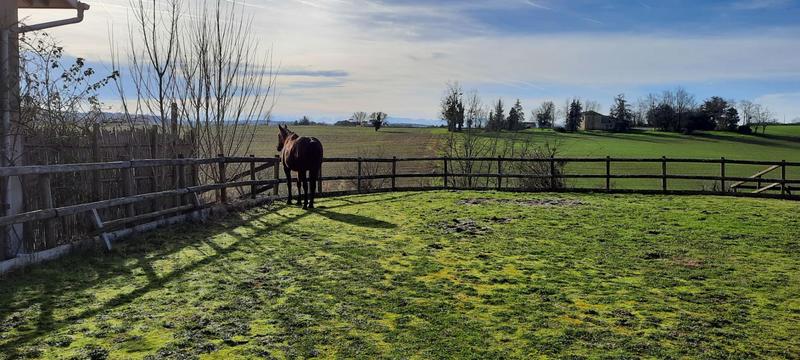 Maison de domaine équestre - 407 m² - 13 pièces