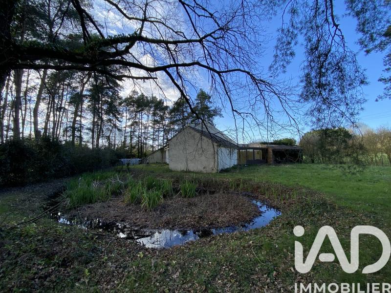 Maison de maîtres - 160 m² - 5 pièces