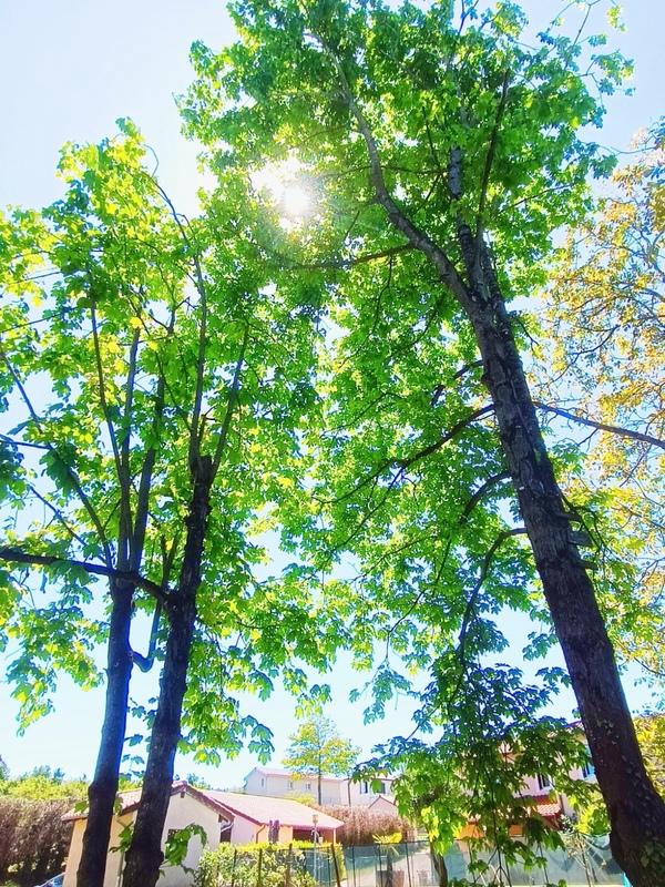 Maison - 136 m² - 8 pièces