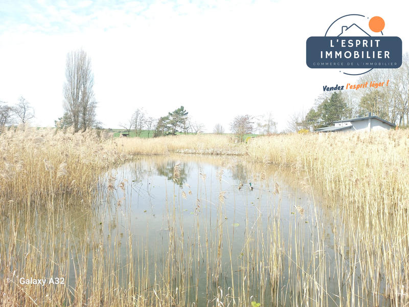 Terrain de loisirs - 12 000 m²