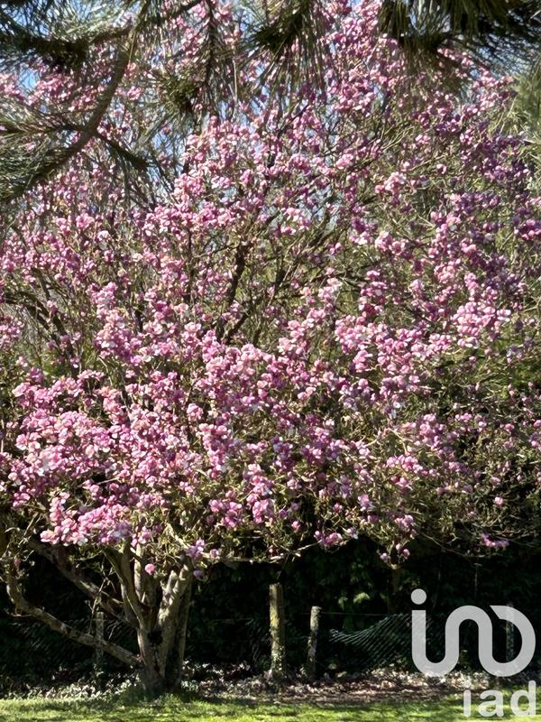 Maison - 200 m² - 6 pièces