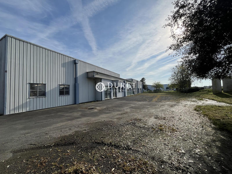 Local d'activités - 460 m²