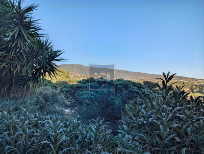 Villa - 165 m² - 5 pièces