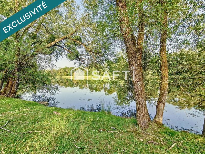 Terrain - 51 433 m²