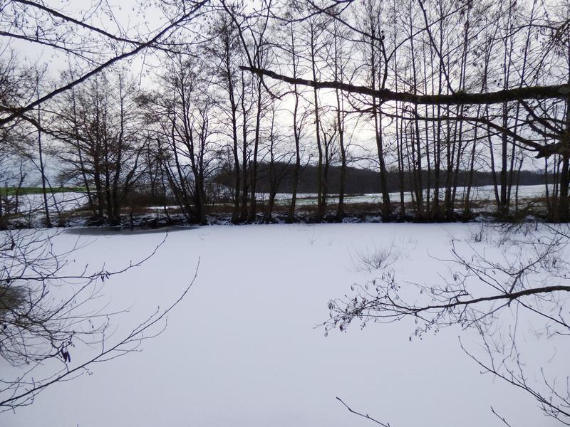 Terrain - 13 730 m²