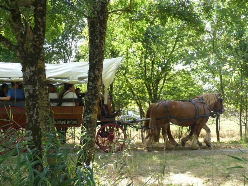 Balade en calèche à Terres d'Oiseaux