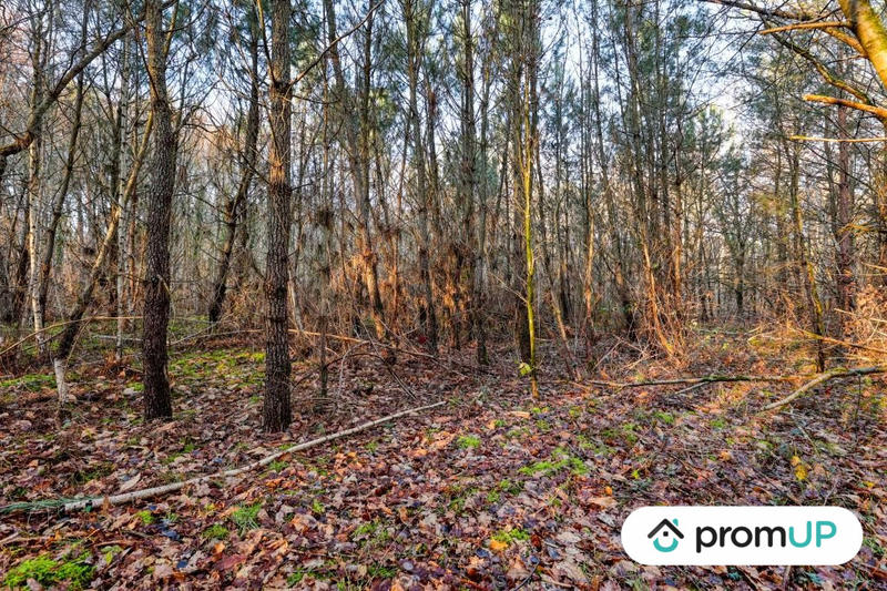 Terrain de loisirs - 1 595 m²