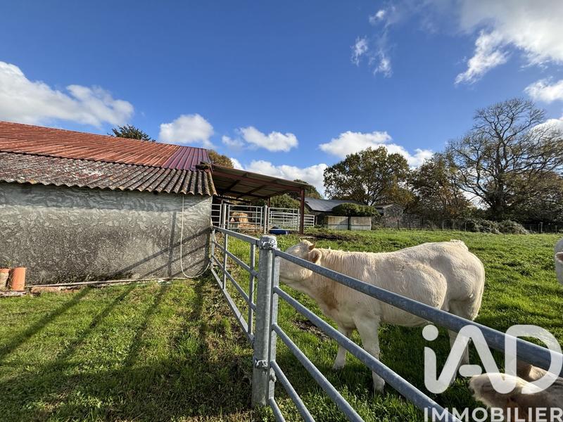 Maison - 300 m² - 11 pièces