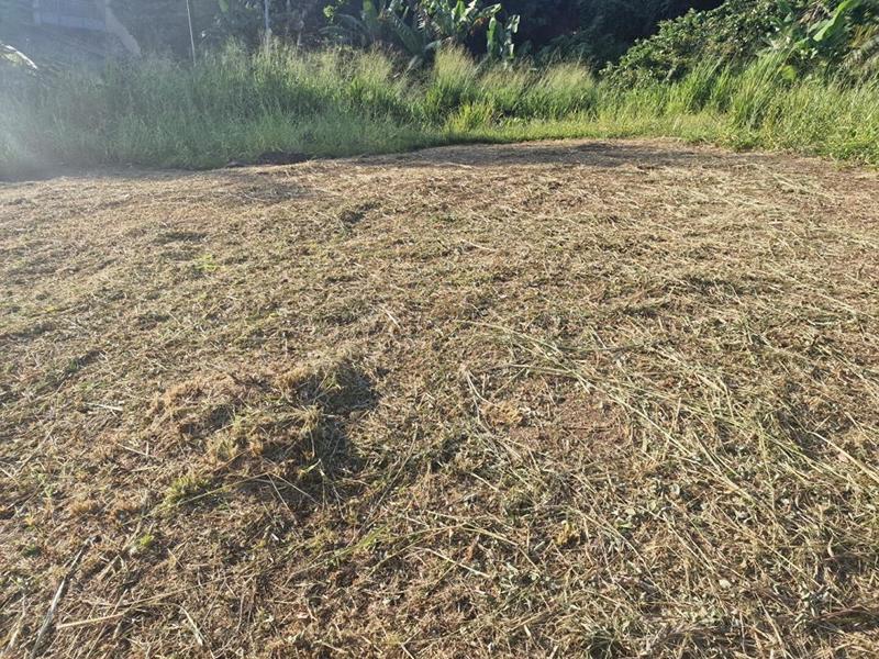 Terrain constructible - 517 m²