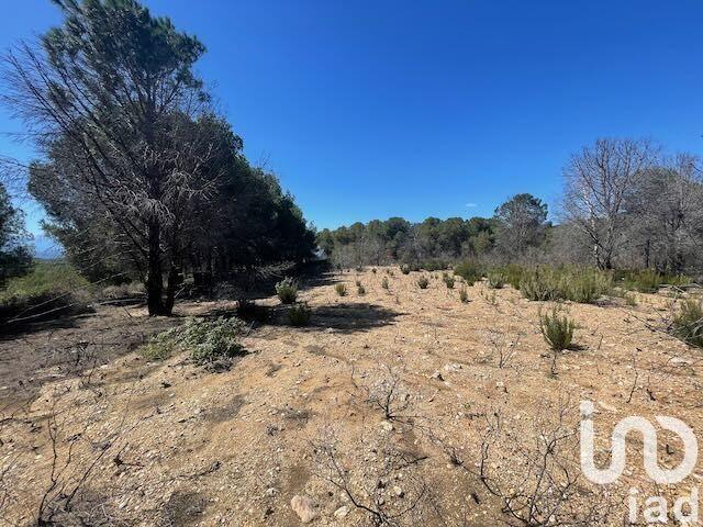 Terrain - 13 930 m²