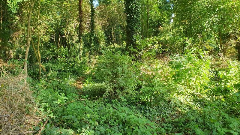 Terrain constructible - 2 540 m²