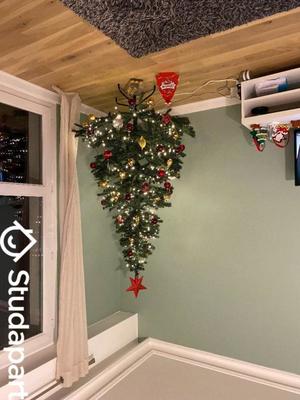 Chambre - 12 m² - 1 pièce