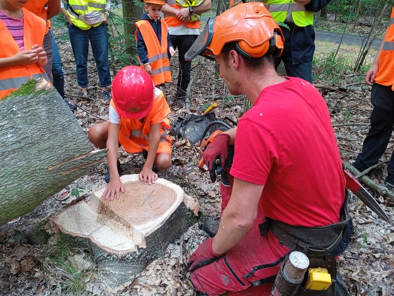 Dans la peau d’un bûcheron