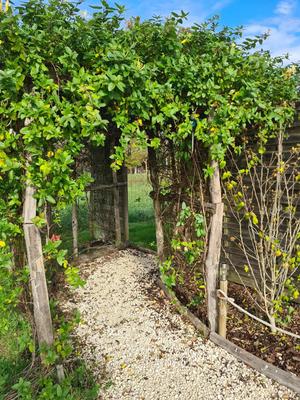 Maison - 91 m² - 5 pièces