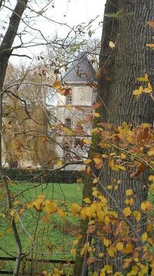 Manoir - 1 500 m² - 25 pièces