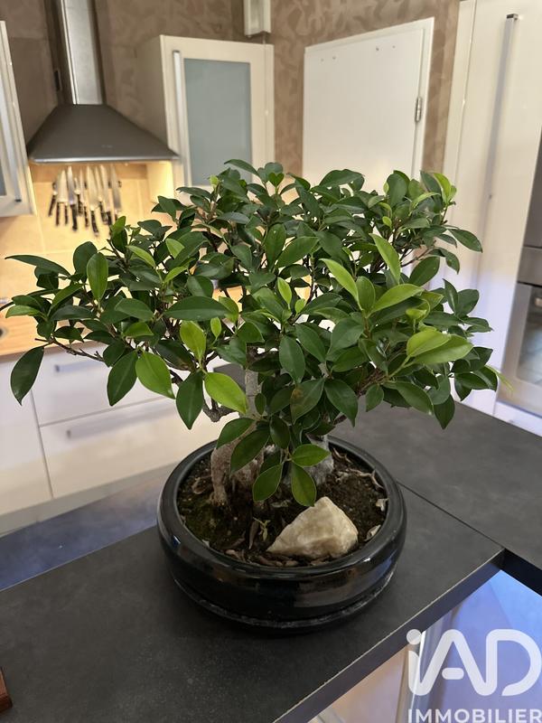 Appartement - 69 m² - 3 pièces