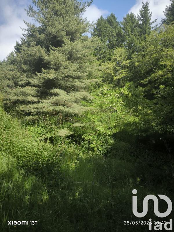 Terrain - 30 452 m²