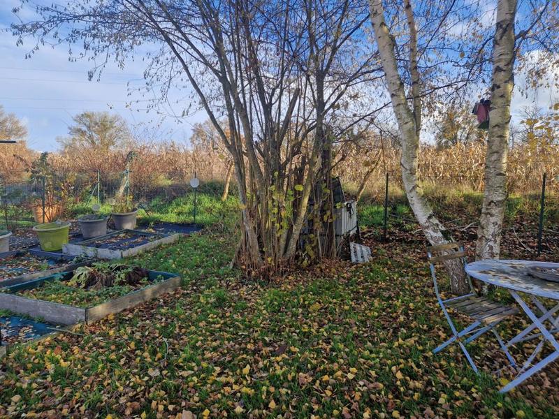 Pavillon - 93 m² - 4 pièces