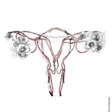 Le Choeur des Femmes