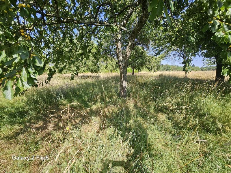 Maison - 180 m² - 9 pièces