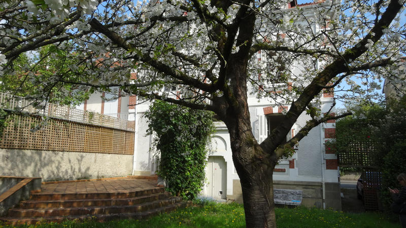 Maison - 258 m² - 11 pièces