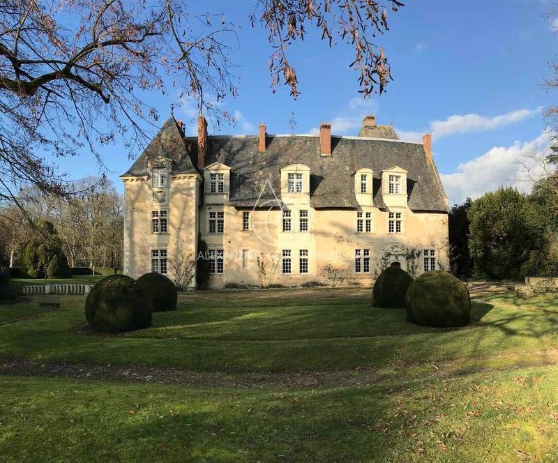 Château - 1 100 m² - 19 pièces