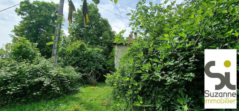 Viager - Ferme - 158 m² - 6 pièces