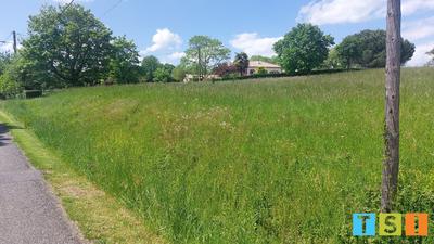 Terrain constructible - 5 900 m²