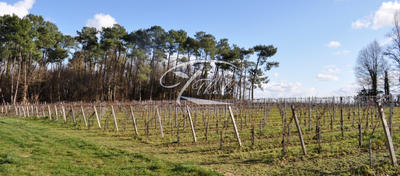 Maison ancienne - 260 m² - 10 pièces