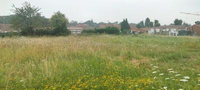 Terrain constructible