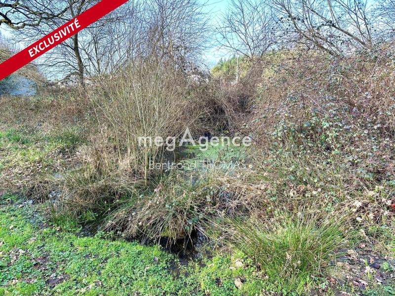 Maison ancienne - 130 m² - 3 pièces