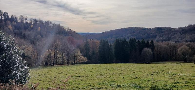 Maison en pierre - 117 m² - 6 pièces