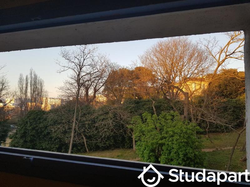 Appartement - 11 m² - 1 pièce