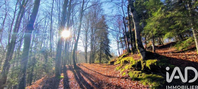 Châlet - 91 m² - 5 pièces