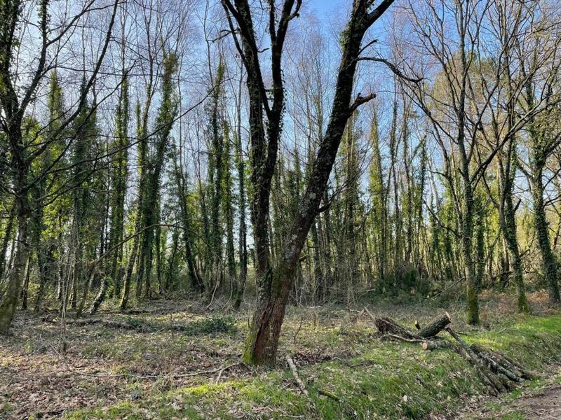 Terrain de loisirs - 11 290 m²