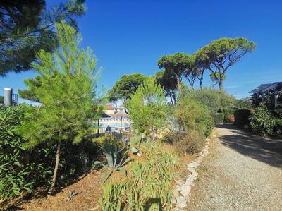 Maison - 39 m² - 3 pièces