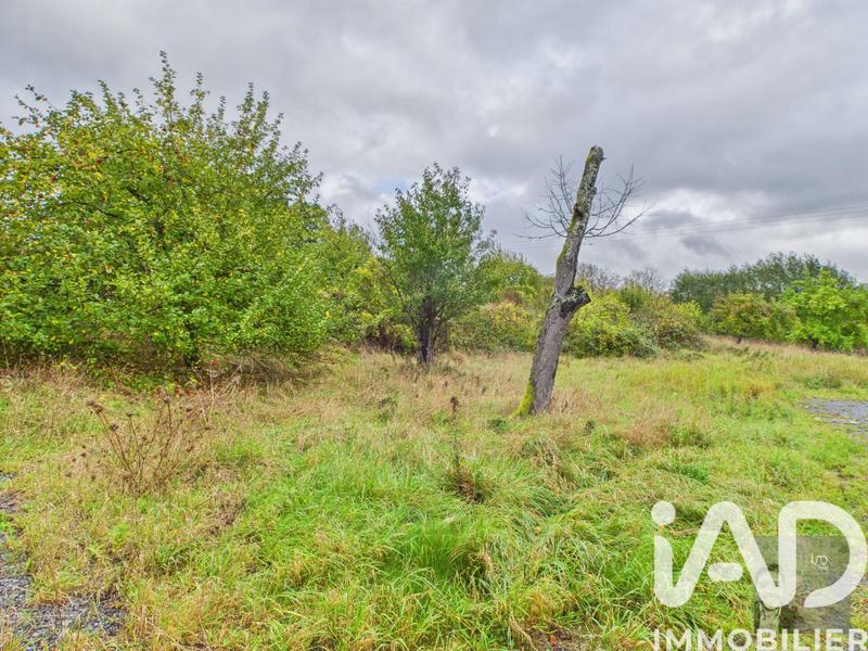 Maison - 230 m² - 8 pièces