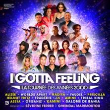I Gotta Feeling - la Tournée des Années 2000 - Paris &amp; Province