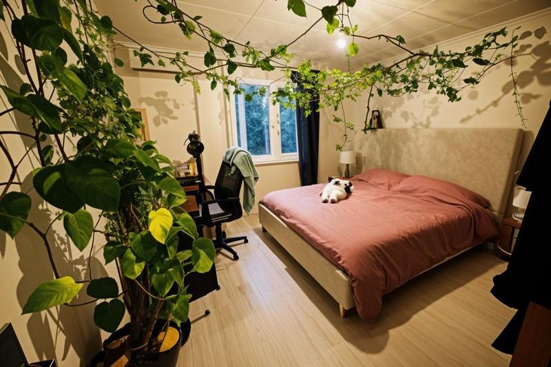 Maison - 229 m² - 8 pièces