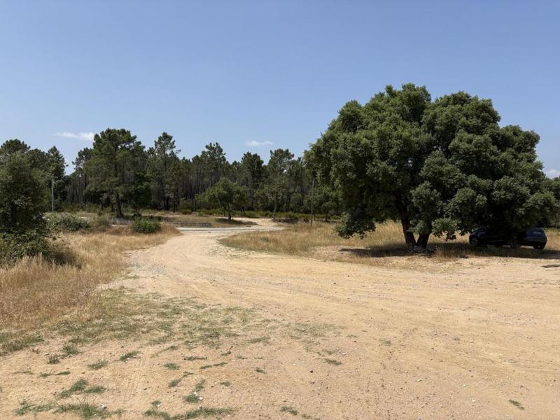 Terrain agricole - 80 000 m²