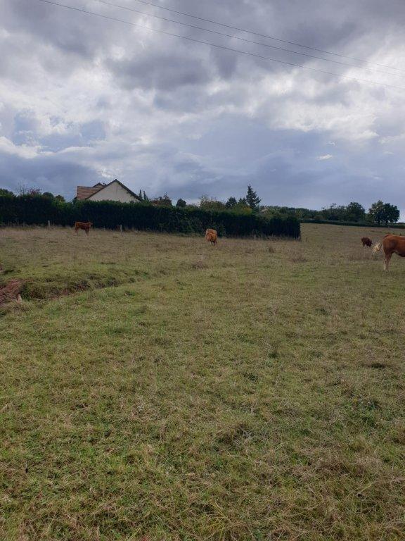 Terrain constructible - 1 300 m²