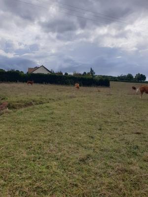 Terrain constructible - 1 300 m²