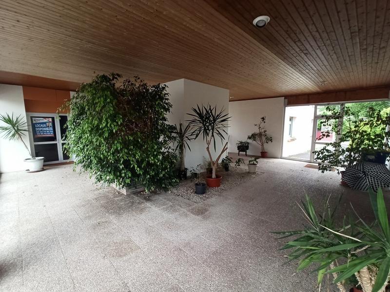 Local commercial - 295 m²