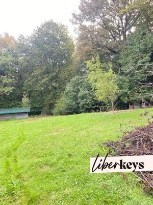 Terrain - 12 800 m²
